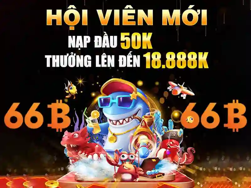 khuyến mãi 66b - 66B