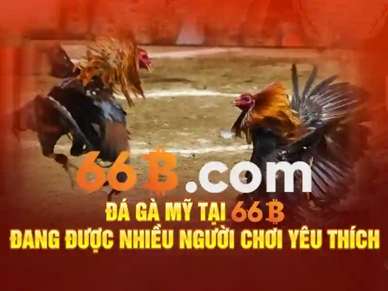 Hướng Dẫn 66B – Cẩm Nang Chơi Bài Dành Cho Người Mới - 66B