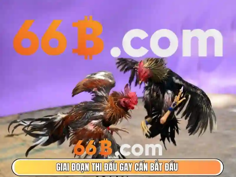 66B – Link Tải 66B APK Miễn Phí, Trải Nghiệm Slot Đỉnh Cao 2026 - 66B