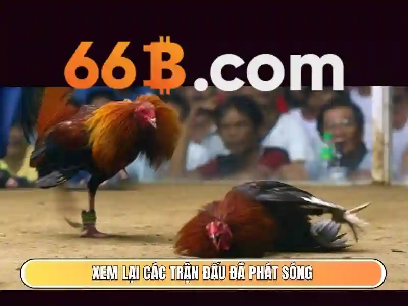 Rút Tiền 66B Nhanh Chóng – Trải Nghiệm Cá Cược Slot Đúng Chuẩn 2026 - 66B