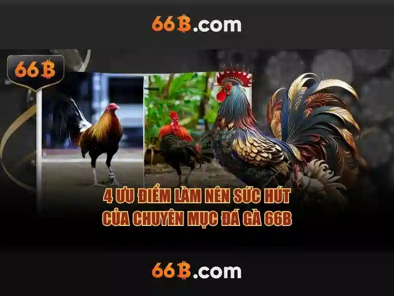  phỏm 66b - 66B