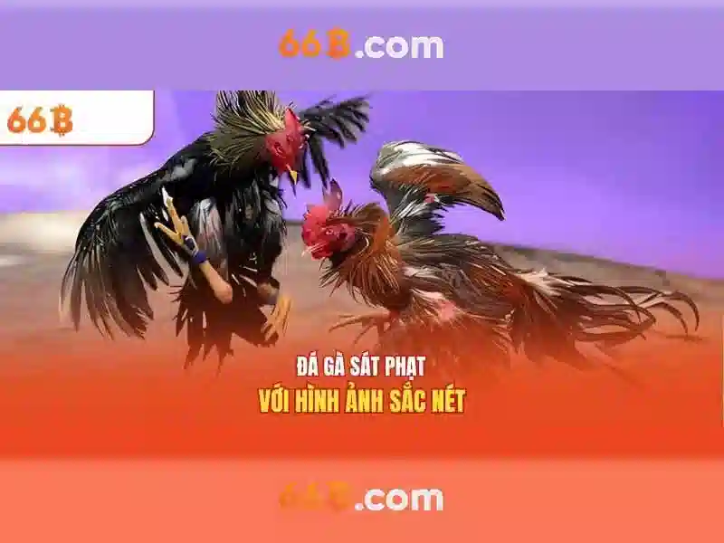  sảnh cược Slot - 66B