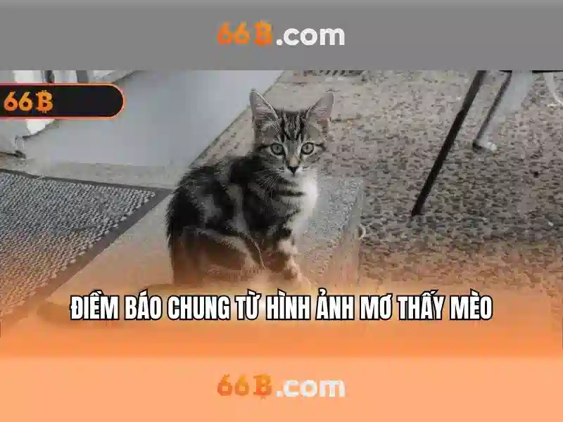 hỗ trợ khách hàng 66B - 66B