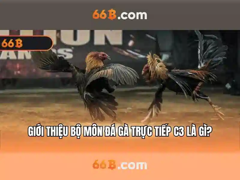 game slot 66B - 66B
