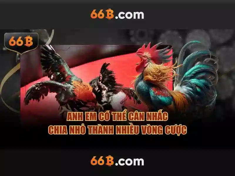  ứng dụng slot - 66B