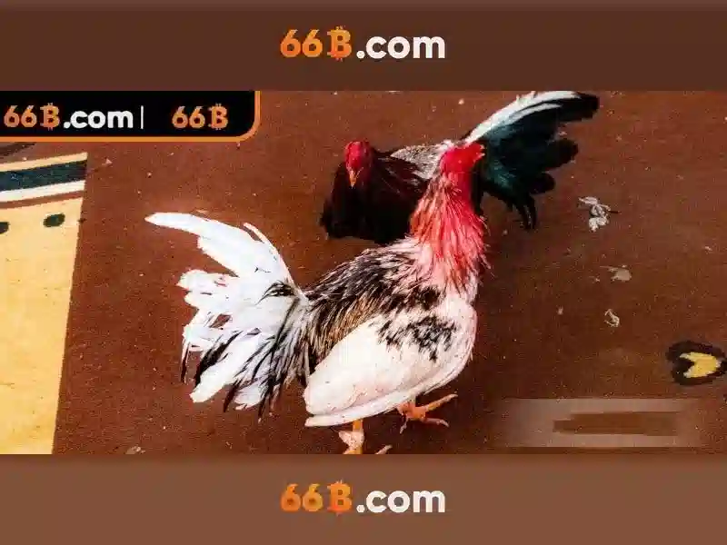 Rút Tiền 66B Với Các Bước Đơn Giản Và Nhanh Chóng – 66b Tặng Tiền 2026 - 66B