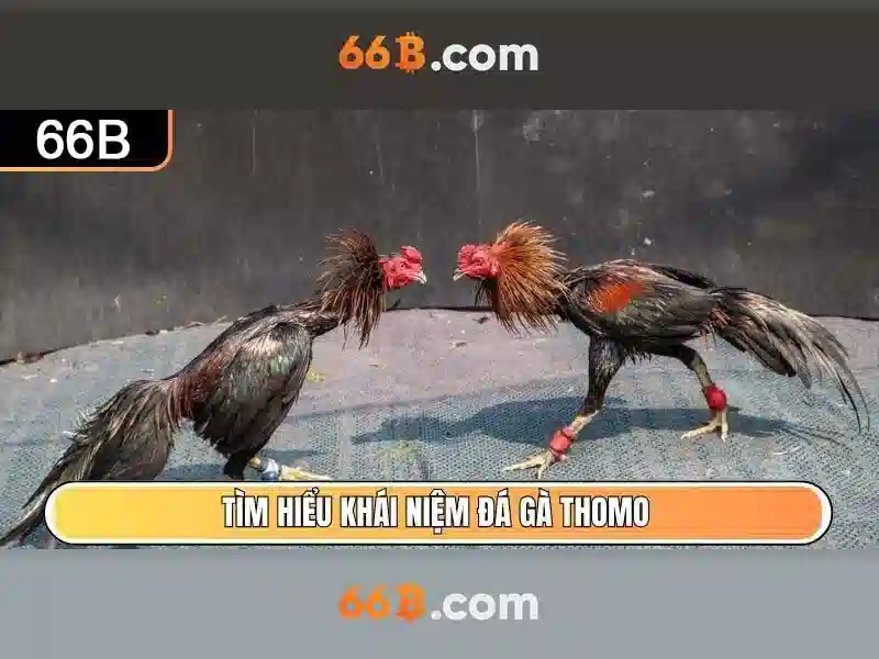  kinh nghiệm chơi cờ caro - 66B