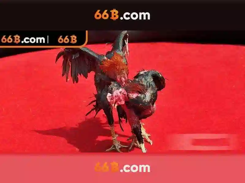  66B - 66B