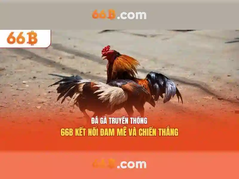 66b - Trang Chủ Chính Thức | Nhà Cái Cá Cược Đẳng Cấp Châu Á 2026