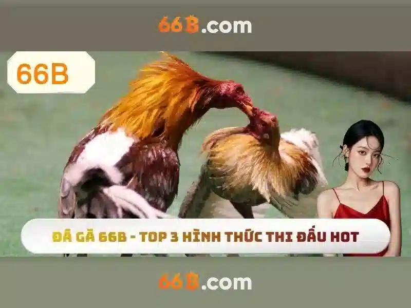 Giới Thiệu Casino 66B - Sự Lựa Chọn Hàng Đầu 2026 Cho Người Chơi Slot - 66B