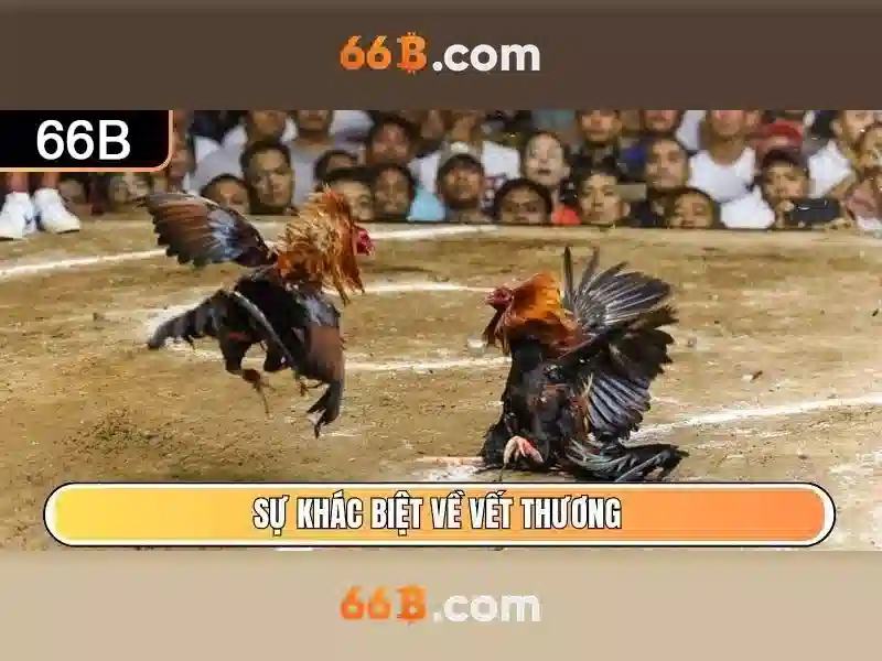  chiến lược chơi bài Slot - 66B