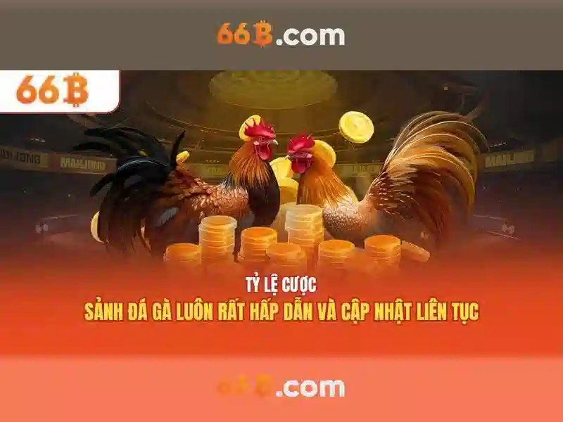 66B - 66B