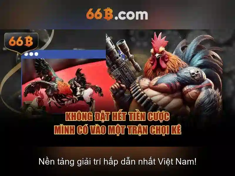 tiền ảo - 66B