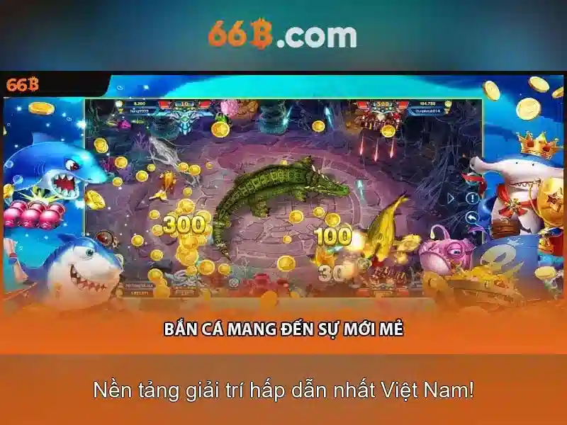 khuyến mãi - 66B