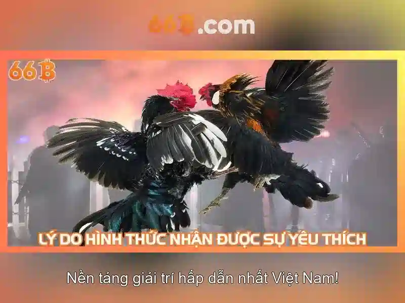  66b bị chặn - 66B