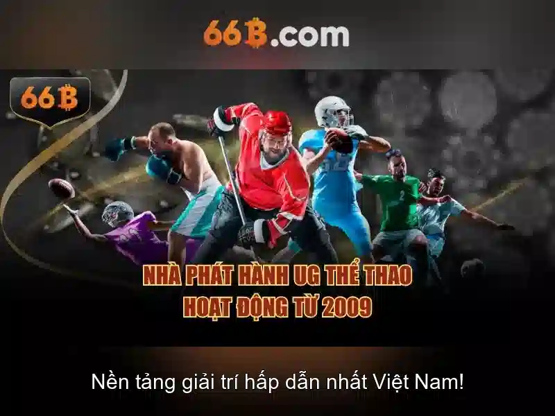  dịch vụ 66B - 66B