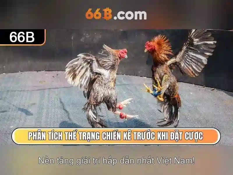 66B - 66B