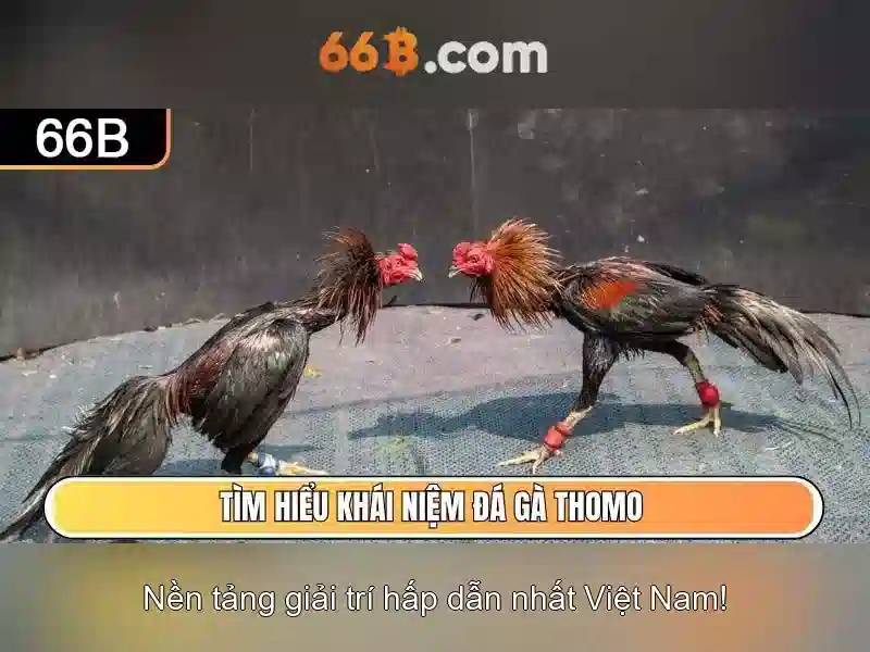 game slot 66B - 66B