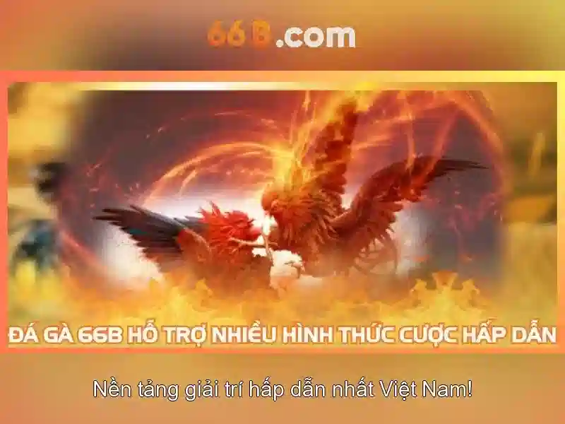 rút tiền 66b - 66B