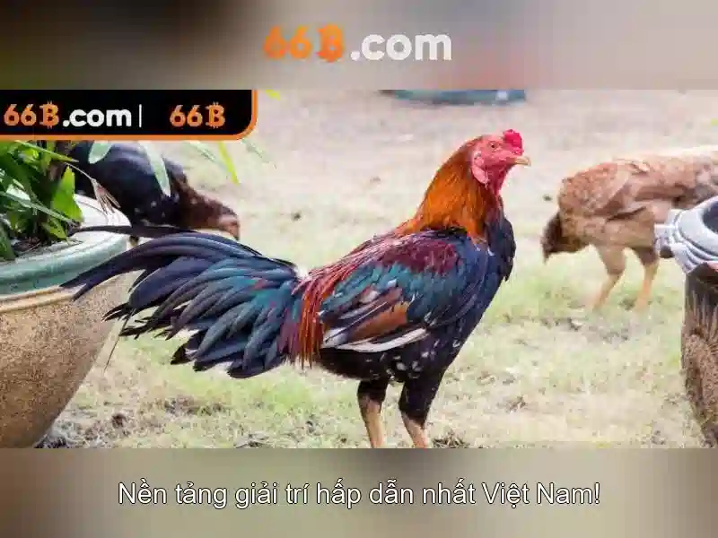  cổng game Slot - 66B