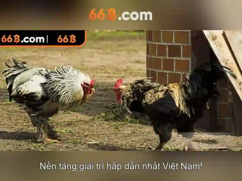 Đăng Nhập 66B – Trải Nghiệm Bắn Cá 66B Tuyệt Vời 2026 - 66B