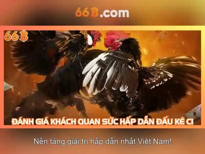  bảo vệ người chơi - 66B