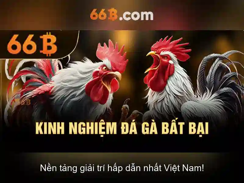  cá cược trực tuyến - 66B