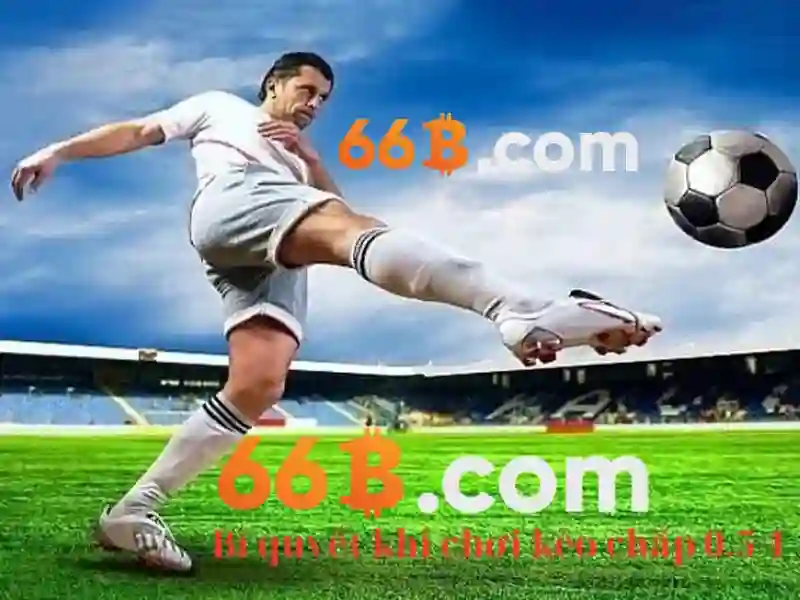 trang chủ 66B - 66B