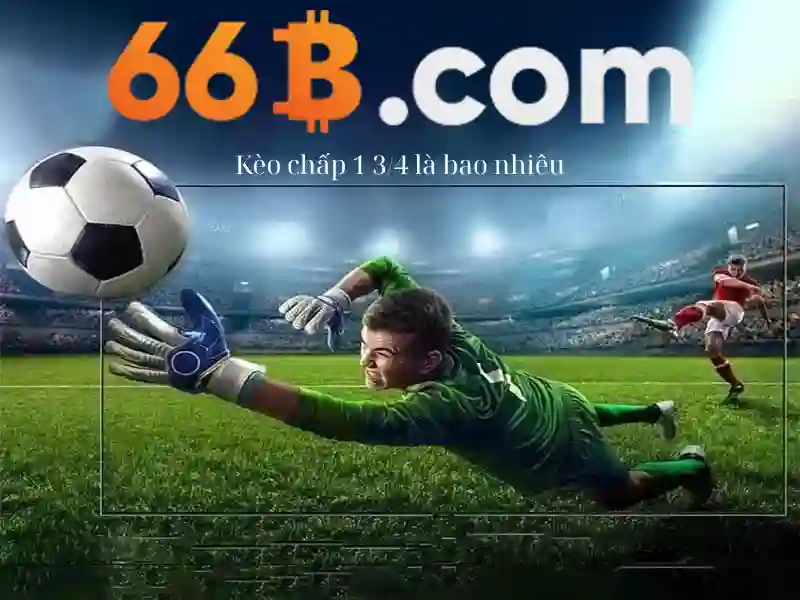 SLOT - 66B